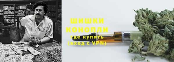 дмт Богородицк