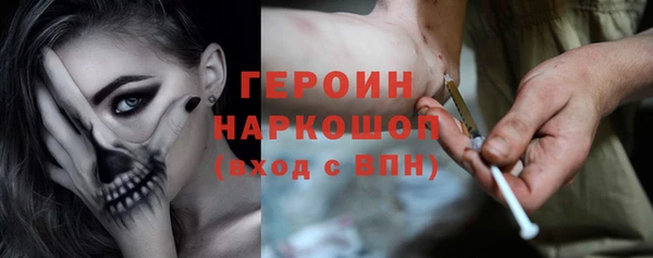 гидра Богданович