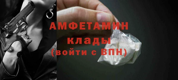 гидра Богданович