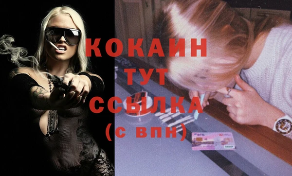 дмт Богородицк