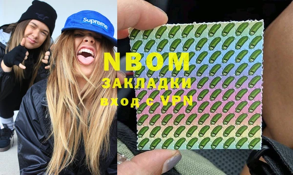 дмт Богородицк
