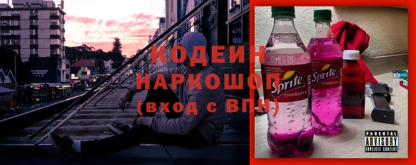 гидра Богданович