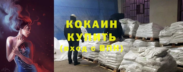 дмт Богородицк