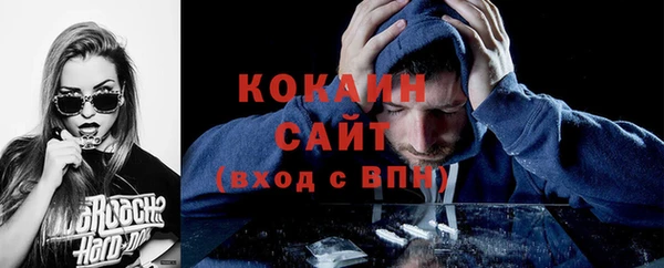 гидра Богданович